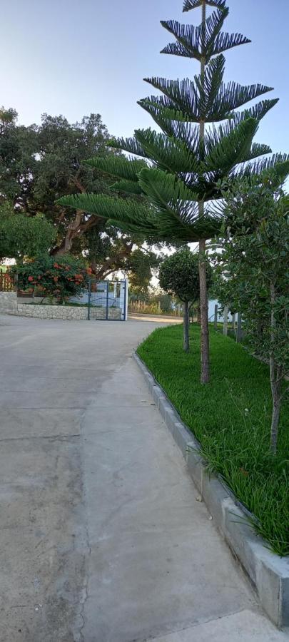Villa Monte Da Vinha Nova Santiago do Cacém Exterior foto